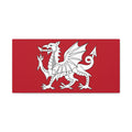 White Dragon of Wessex — Anglo-Saxon Heraldic Matte Canvas Print | Saxon Wall Art