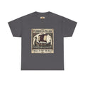 Viking Pillage & Plunder T-Shirt | Unisex Adult Norse Humour Tee | S–5XL